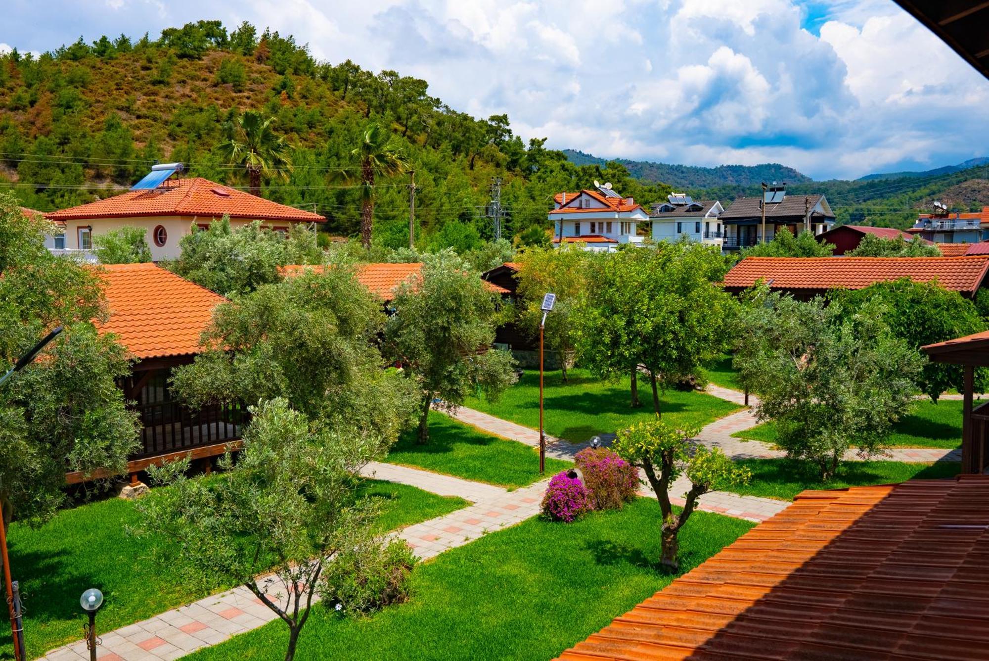 Defne Olive Gardens, Koca Calis, - Previously Defne Tatil Evi Fethiye