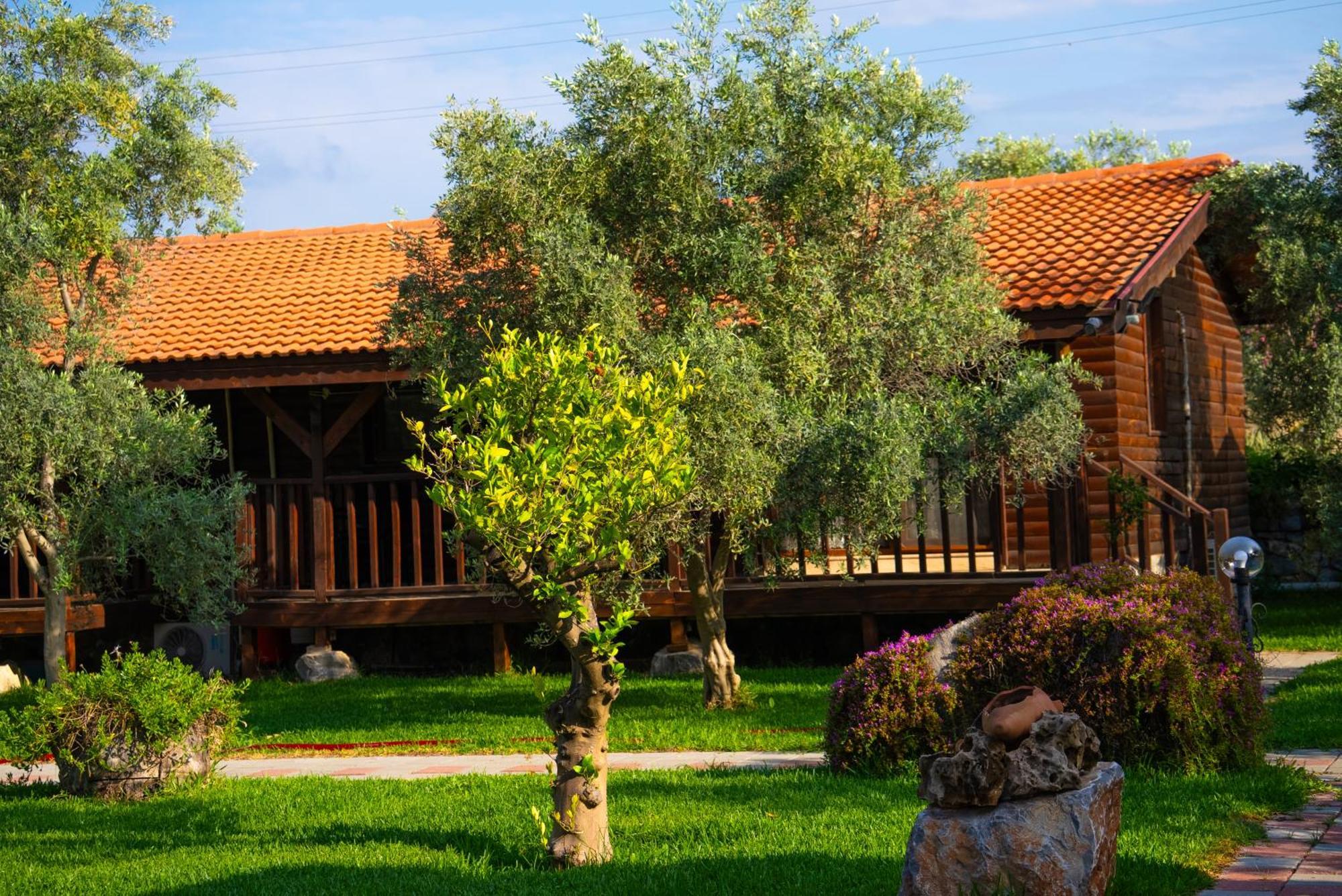 Tatil Evi Defne Olive Gardens, Koca Calis, - Previously Defne *