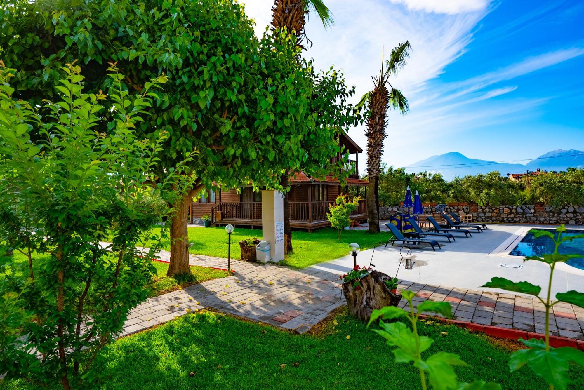 Defne Olive Gardens, Koca Calis, - Previously Defne Fethiye