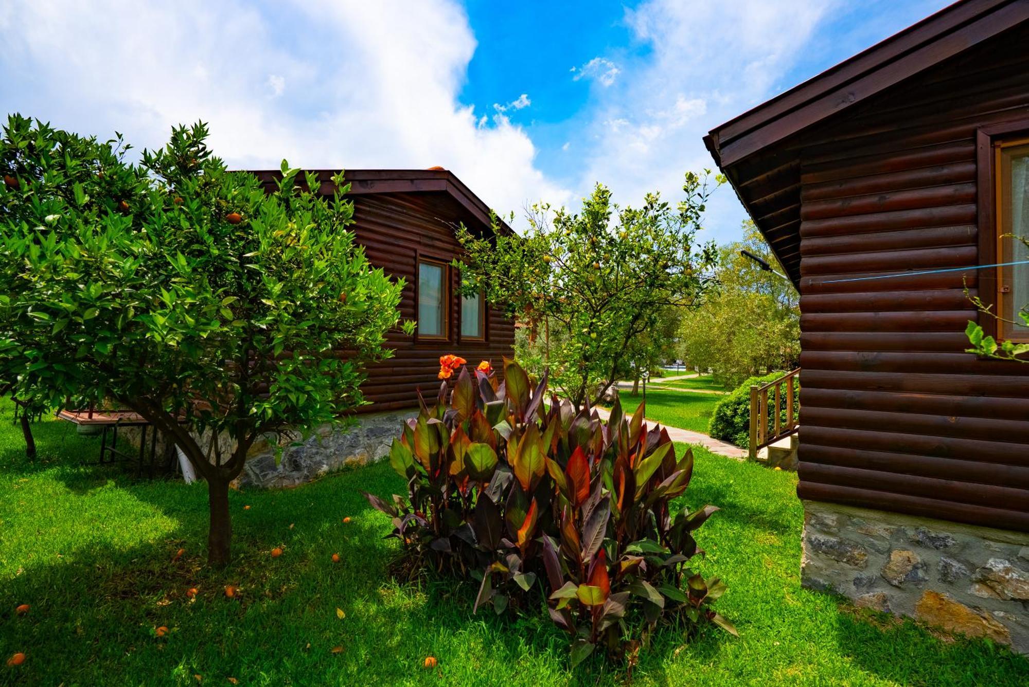 Tatil Evi Defne Olive Gardens, Koca Calis, - Previously Defne