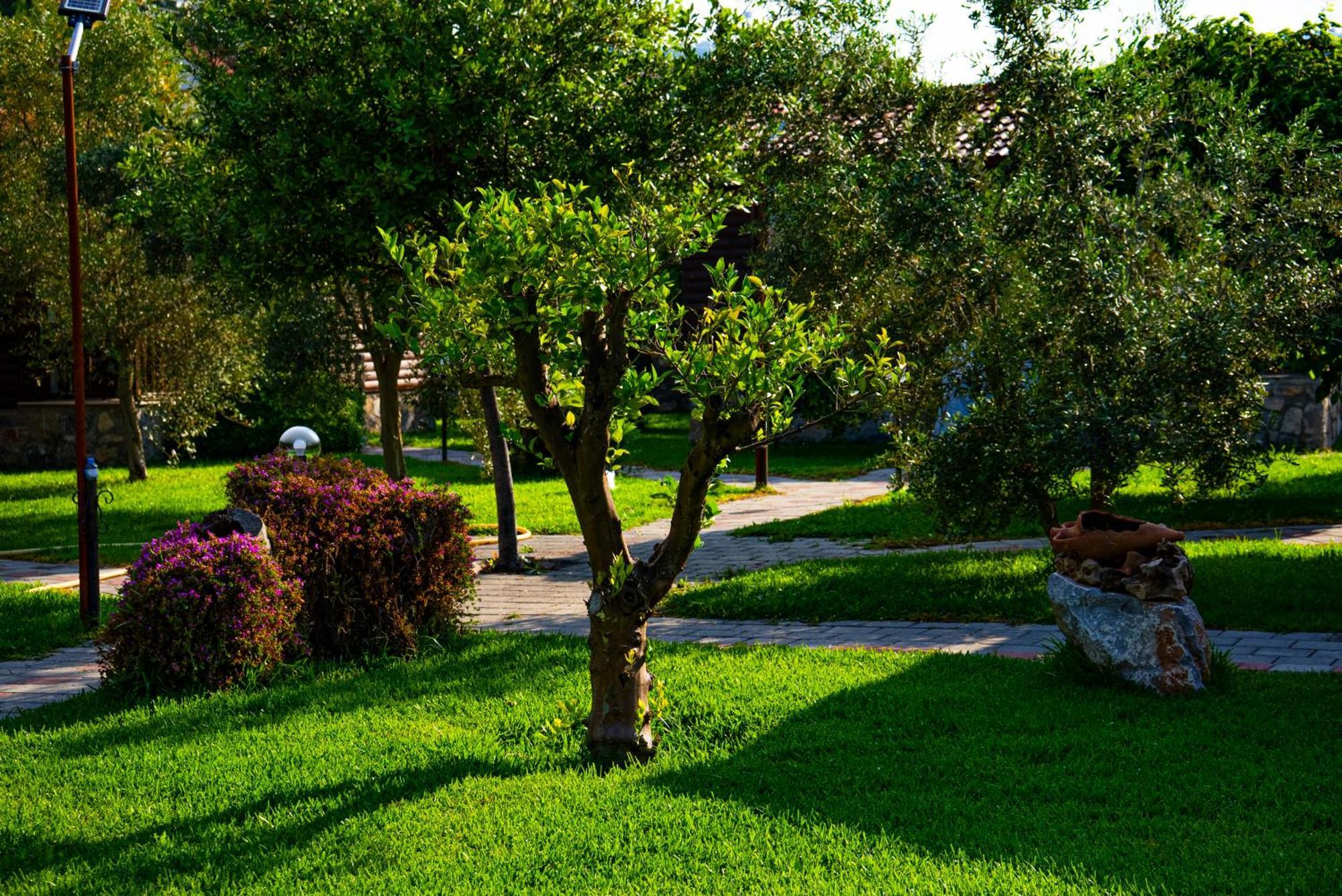 Defne Olive Gardens, Koca Calis, - Previously Defne Tatil Evi *