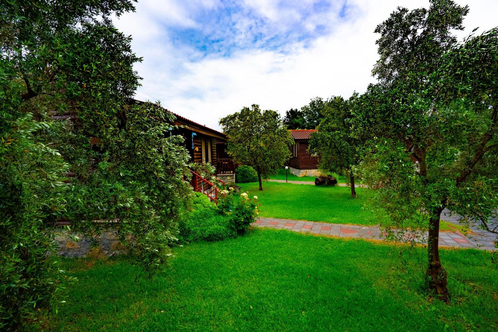 Defne Olive Gardens, Koca Calis, - Previously Defne * Fethiye