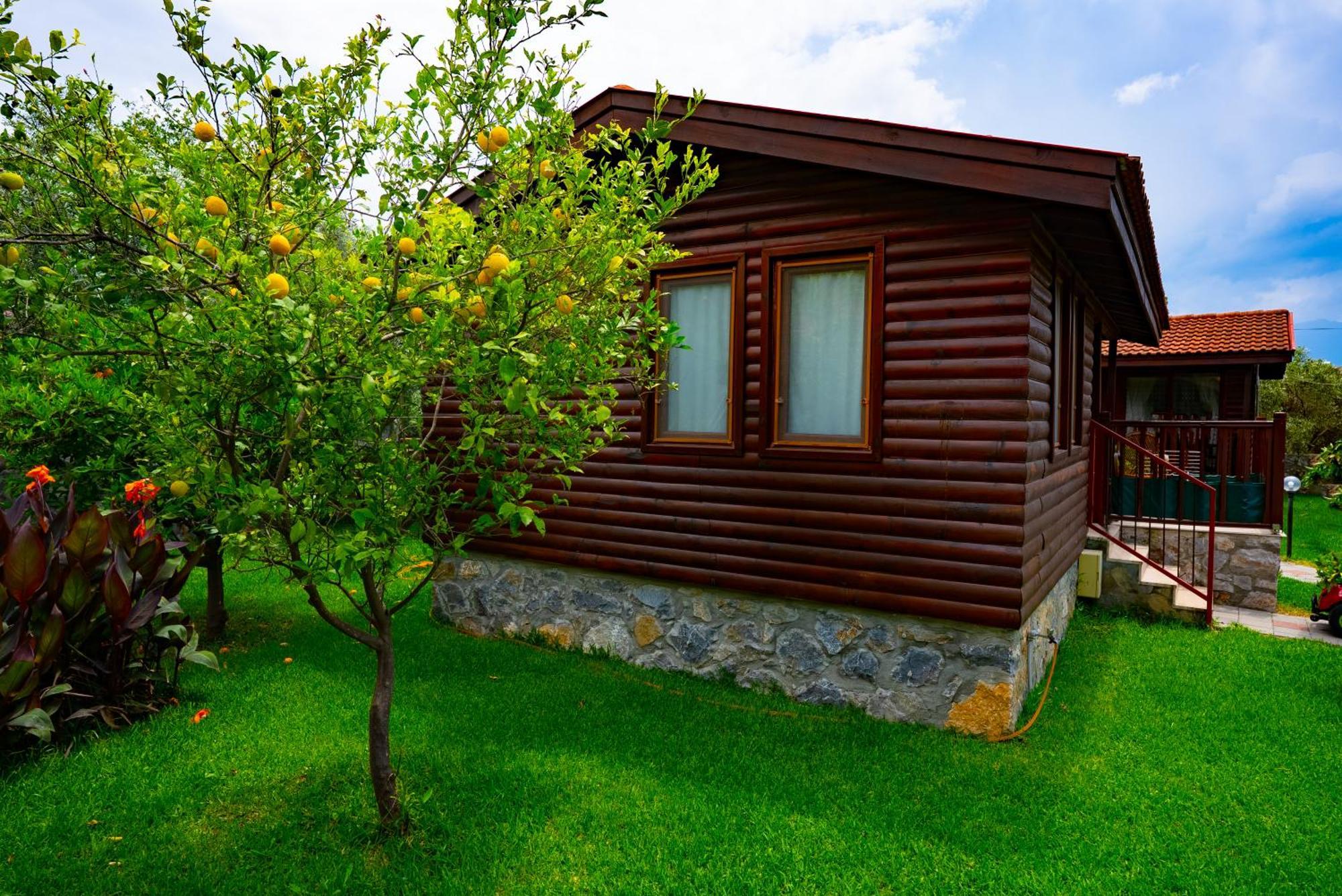 Defne Olive Gardens, Koca Calis, - Previously Defne Case de vacanță *